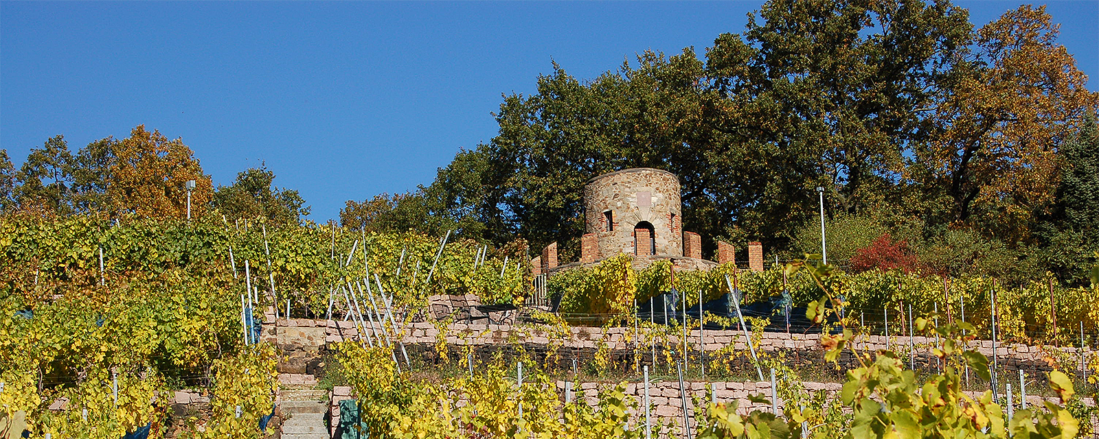 weinboehla bannerbild 1