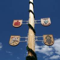 MAIBAUM