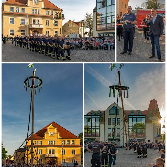 Maibaum-Stellen © G. Pforte Maibaum-Stellen
